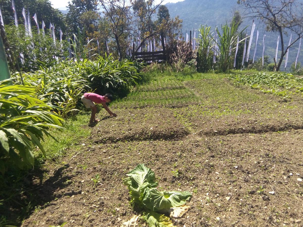 Martam Farmhouse Villa Pelling Ngoại thất bức ảnh