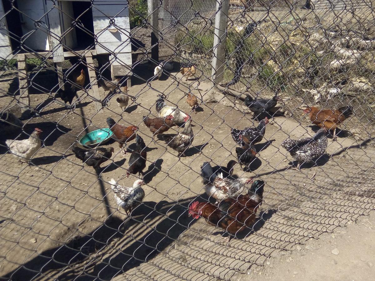 Martam Farmhouse Pelling Ngoại thất bức ảnh